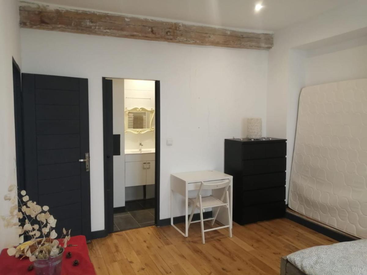 Loft Viarhona, Grand Loft En Centre-Ville Lyon Ngoại thất bức ảnh